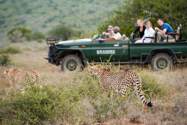 Kwandwe Private Game Reserve