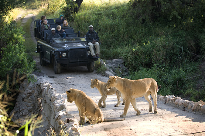 Lion Sands Game Reserve