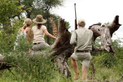 Mala Mala Private Reserve