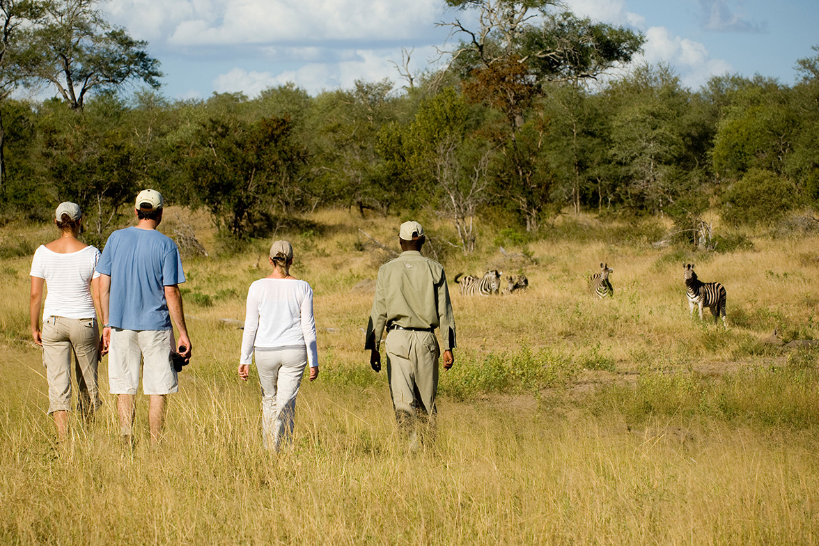 Ngala Private Game Reserve - Bush Walk