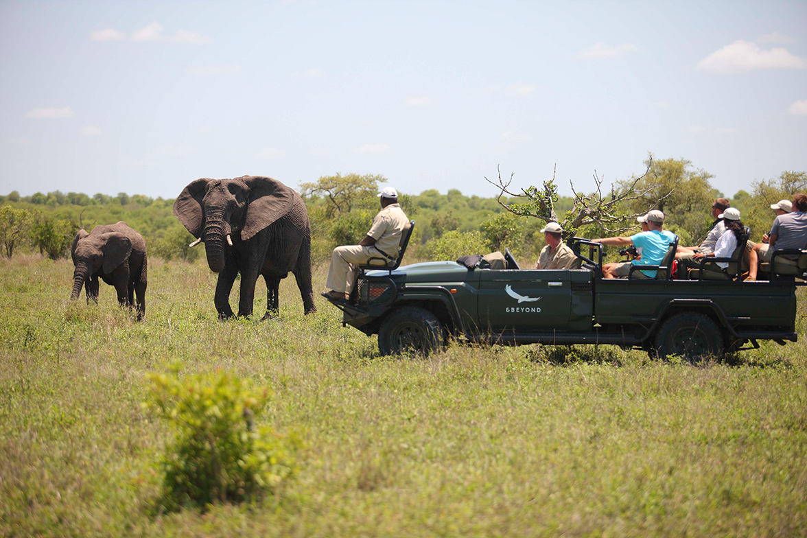 Ngala Private Game Reserve - Game Drive