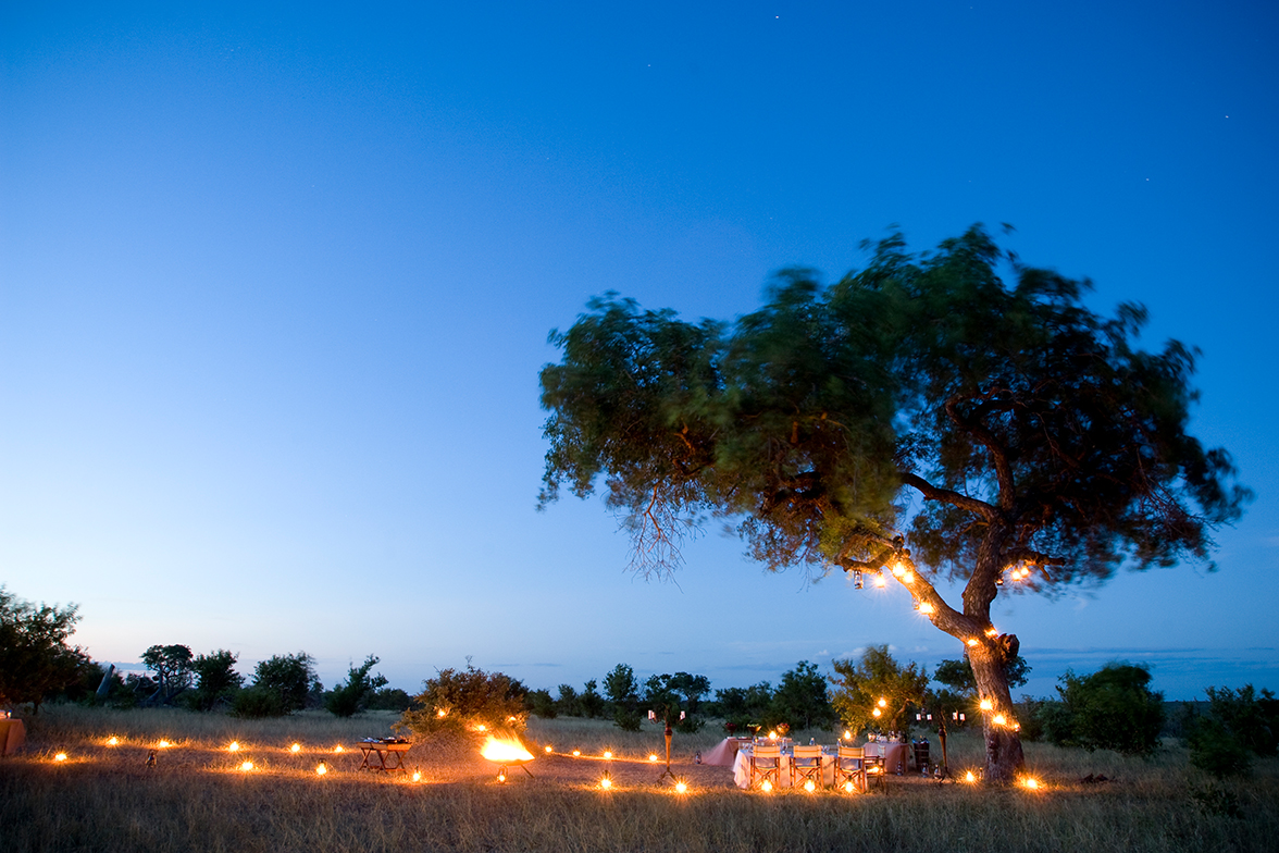 Ngala Private Game Reserve - Bush Dinner