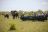 Ngala Private Game Reserve - Game Drive