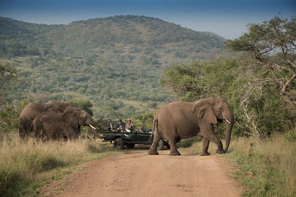 Phinda Private Game Reserve