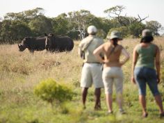 Phinda Private Game Reserve - Bush Walk