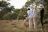 Phinda Private Game Reserve - Bush Walk