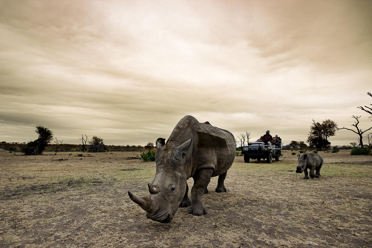 Sabi Sabi Private Game Reserve
