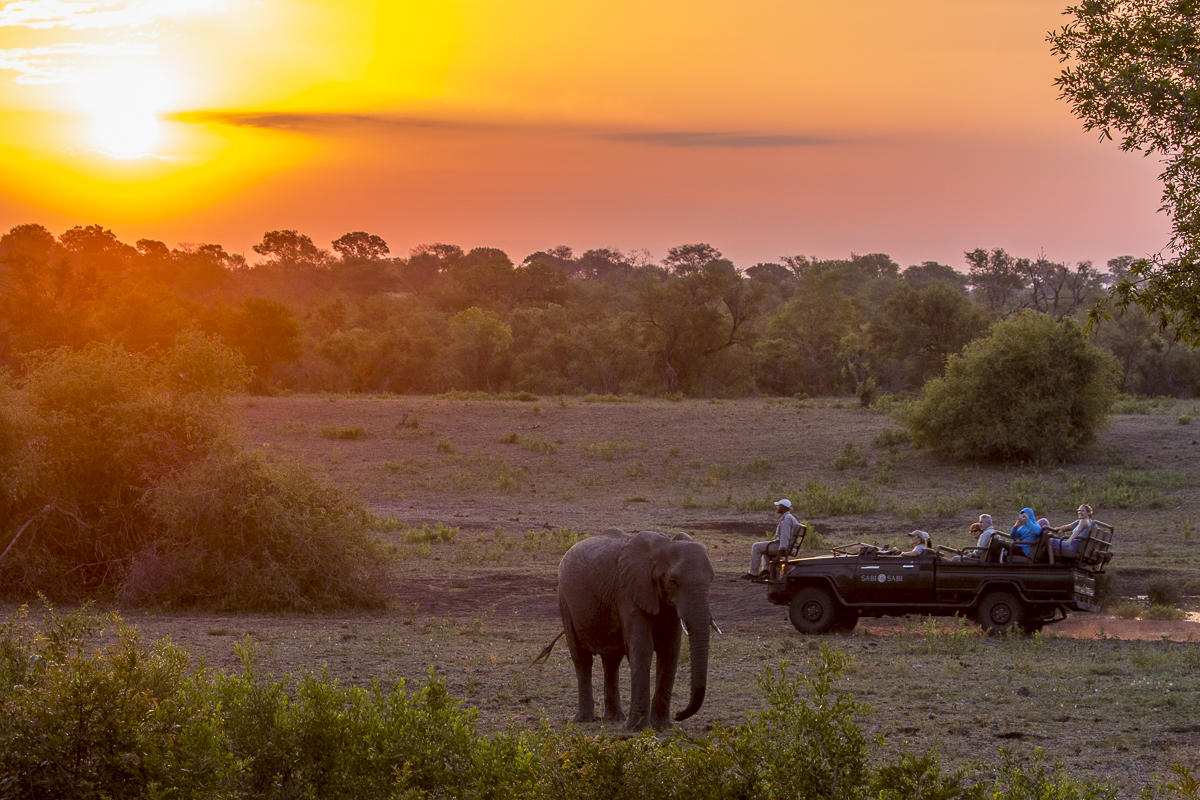 Sabi Sabi Private Game Reserve