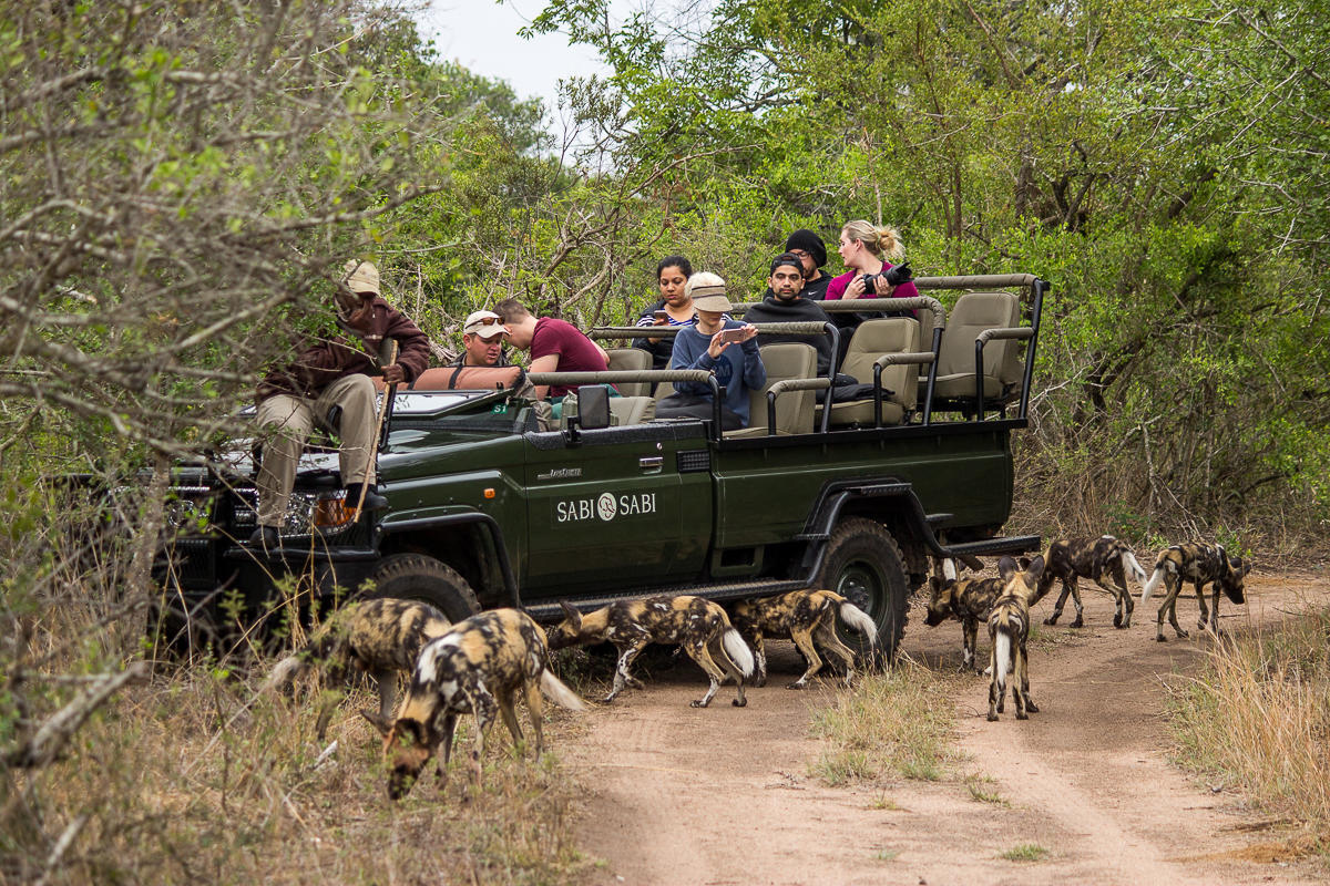 Sabi Sabi Private Game Reserve