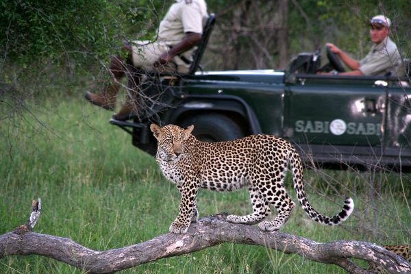 Sabi Sabi Private Game Reserve