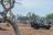 Sabi Sabi Private Game Reserve