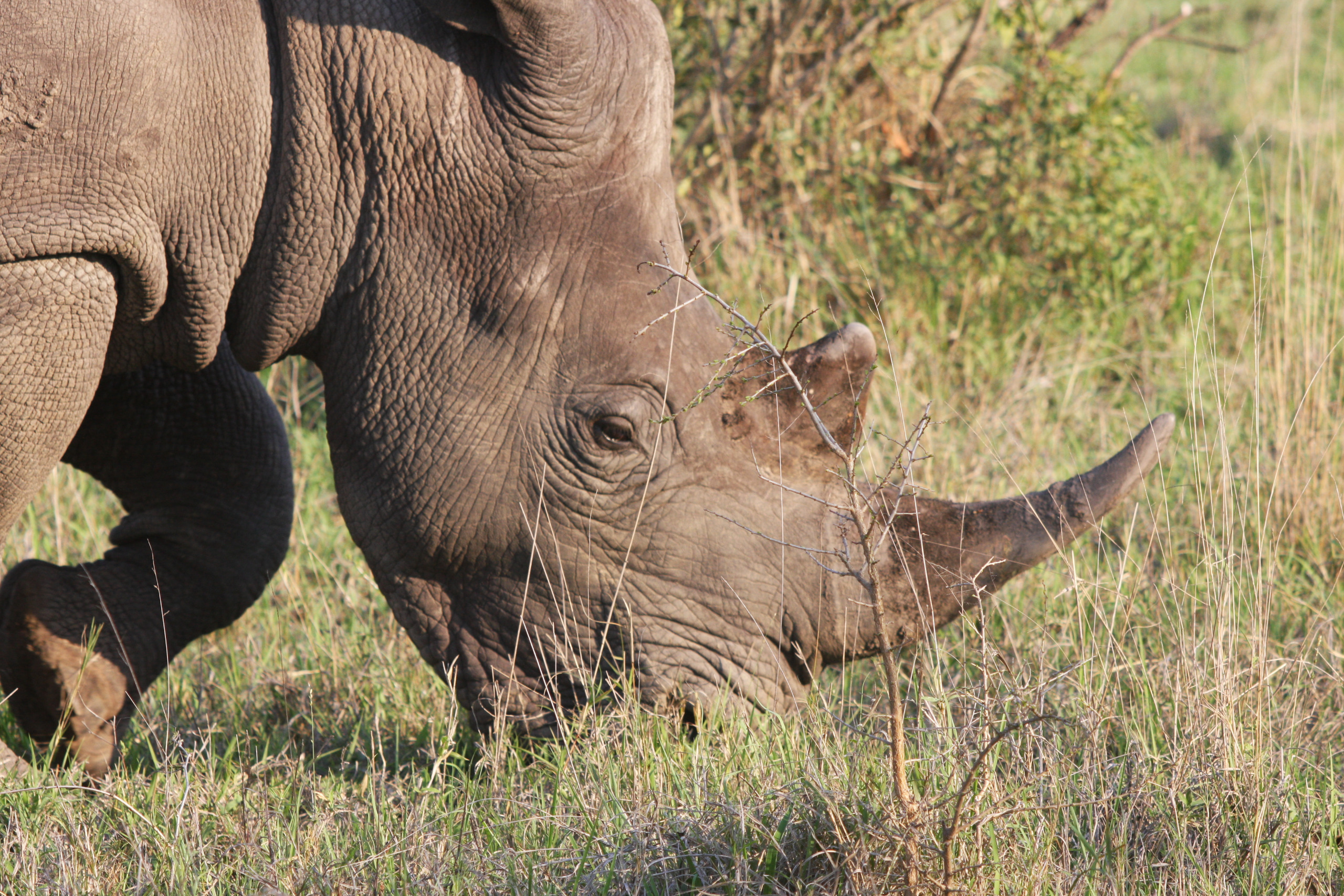 Sabi Sands Private Game Reserve