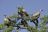 Sabi Sands Private Game Reserve