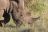 Sabi Sands Private Game Reserve