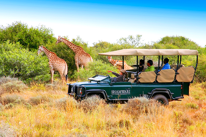 Shamwari Private Game Reserve, Pirschfahrt