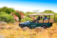 Shamwari Private Reserve