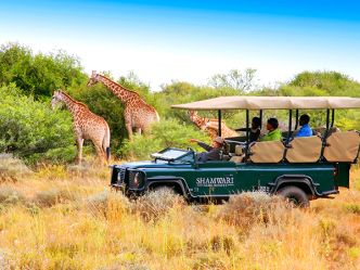 Shamwari Private Game Reserve, Pirschfahrt Shamwari Private Game Reserve, Pirschfahrt