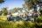 Singita Sabi Sands - Game Drive