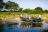 Singita Sabi Sands - Game Drive