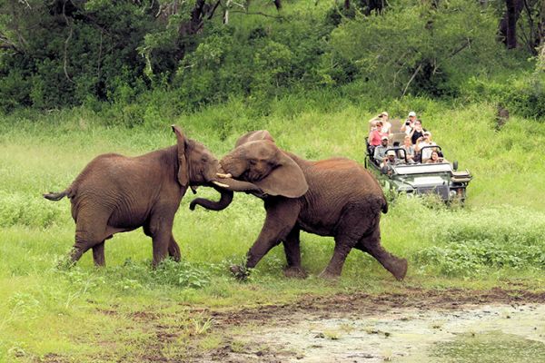 Thanda Private Game Reserve