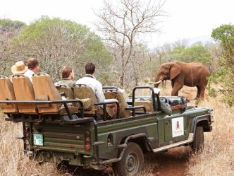 Thanda Private Game Reserve, Tierbeobachtung im offenen Geländefahrzeug Thanda Private Game Reserve, Tierbeobachtung im offenen Geländefahrzeug