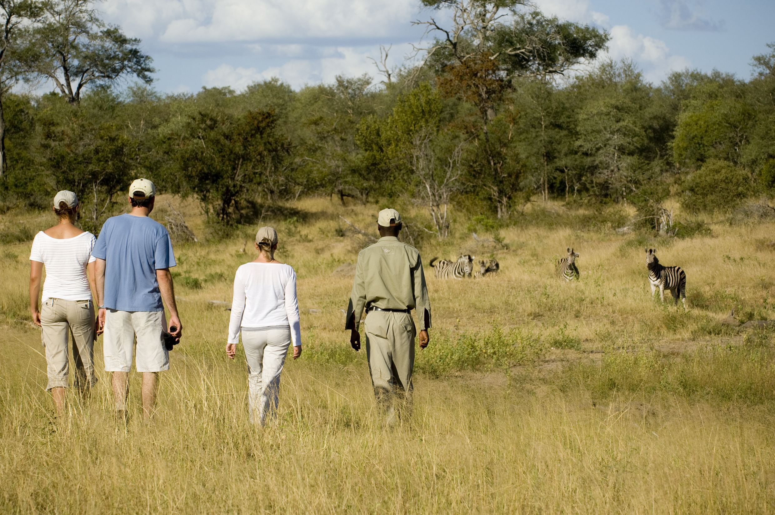 Bush Walk im Timbavati Game Reserve (Ngala)