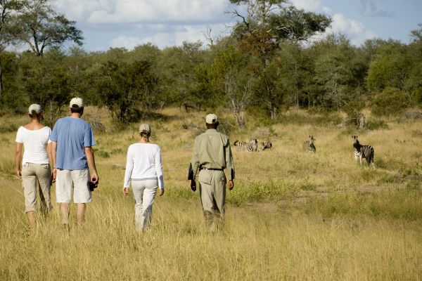 Timbavati Game Reserve