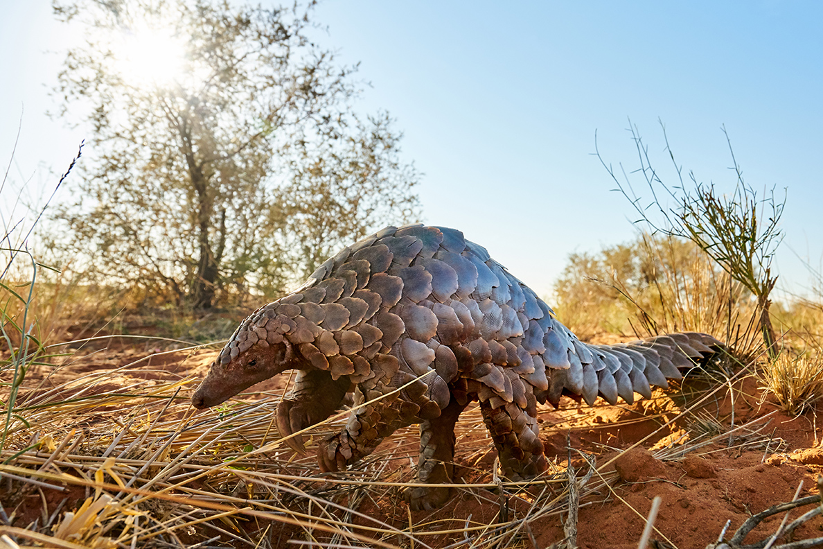Twalu Kalahari Game Reserve
