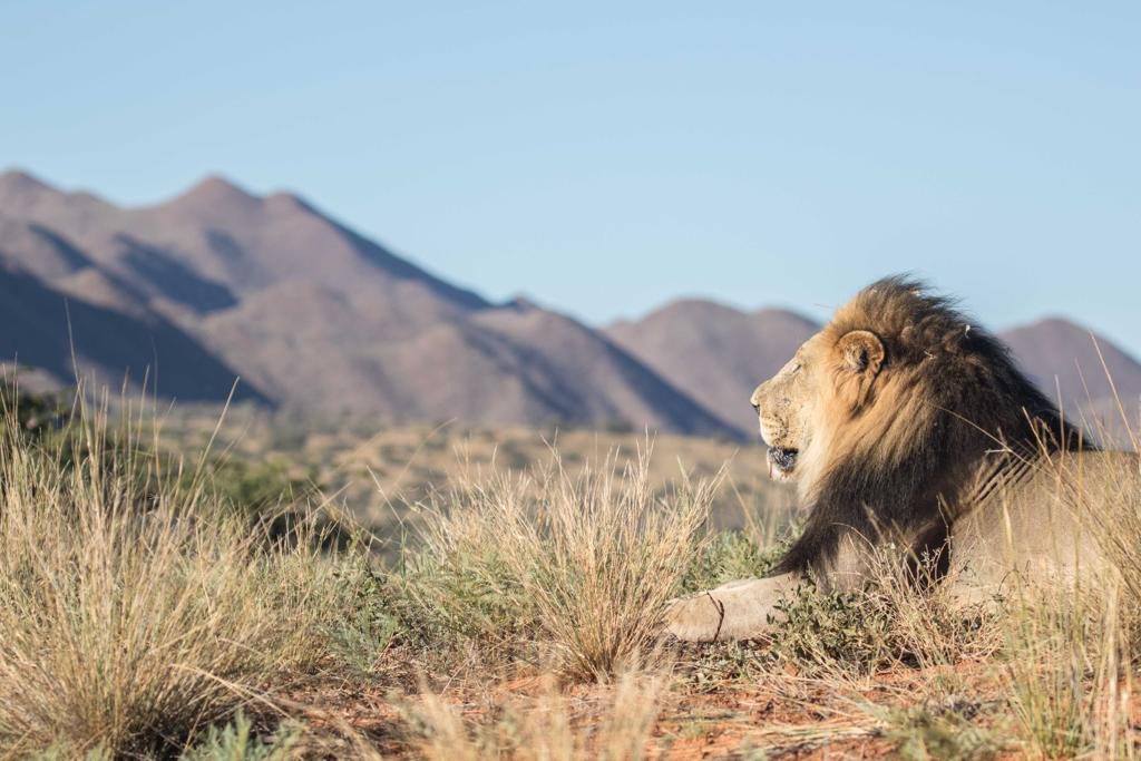 Twalu Kalahari Game Reserve