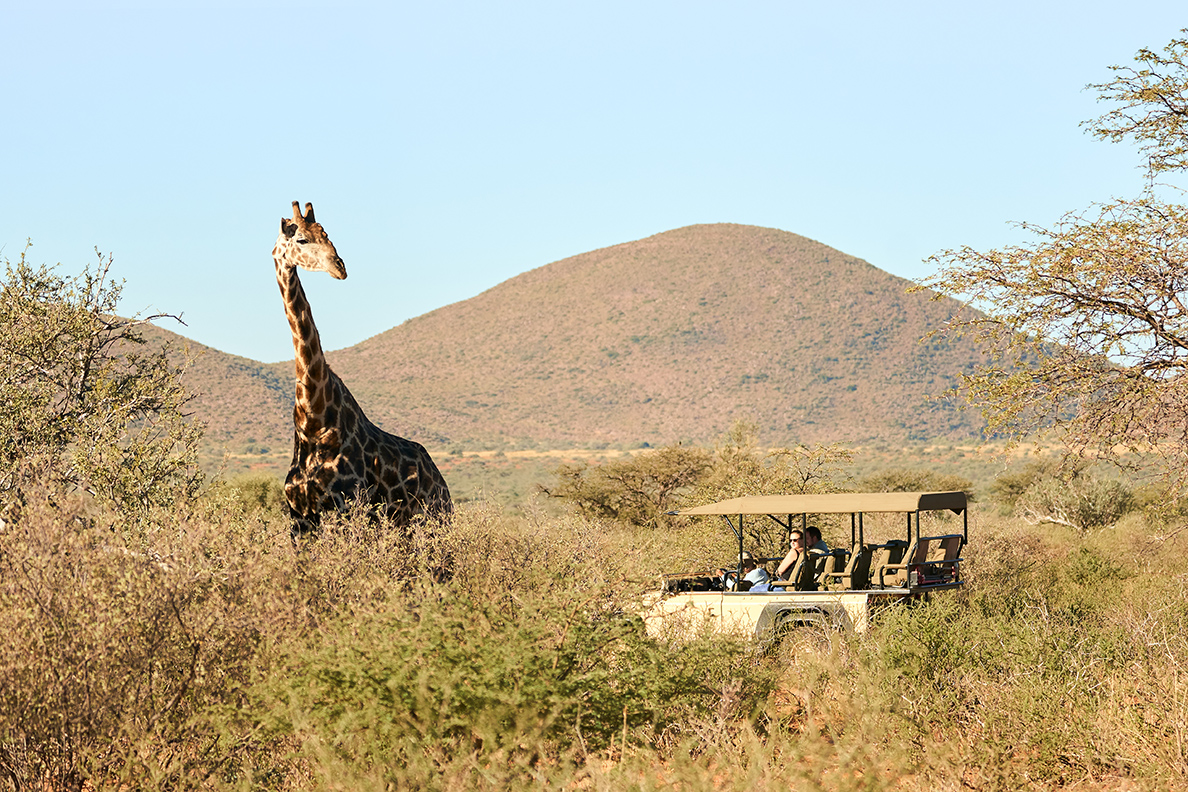 Twalu Kalahari Game Reserve