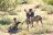 Twalu Kalahari Game Reserve