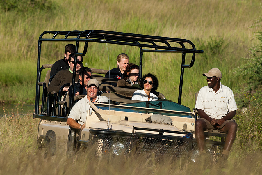 Ulusaba - Game Drive