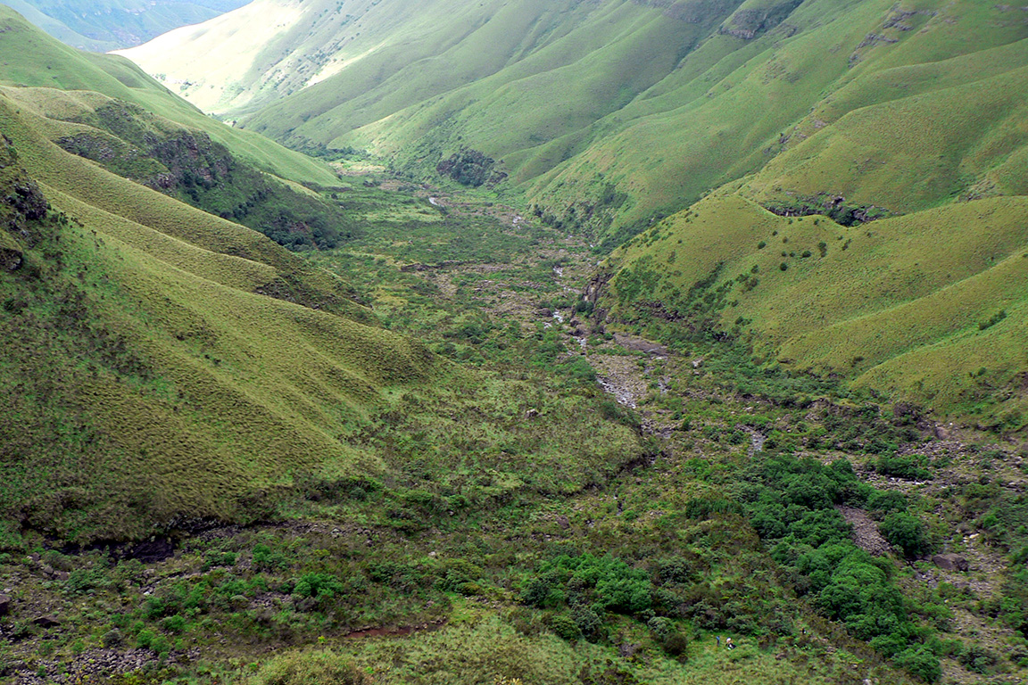 Drakensberge