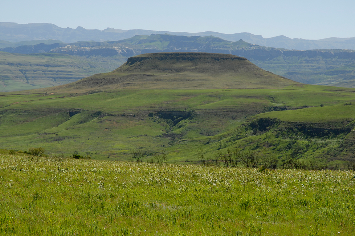 Drakensberge