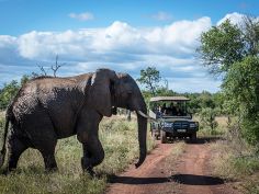 Swaziland - Pirschfahrt in einem National Park