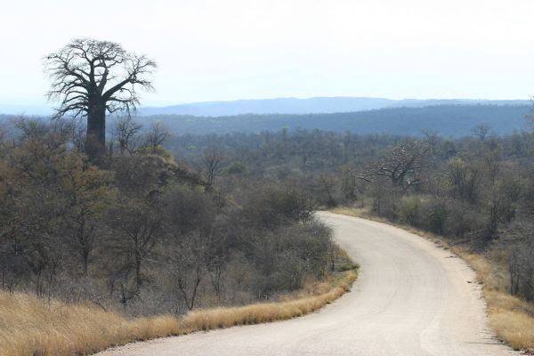 Limpopo