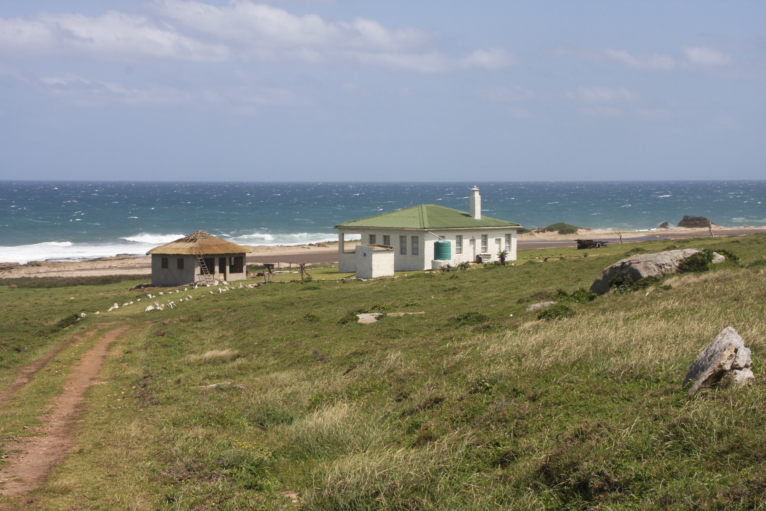 Wild Coast