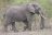 Kruger National Park 