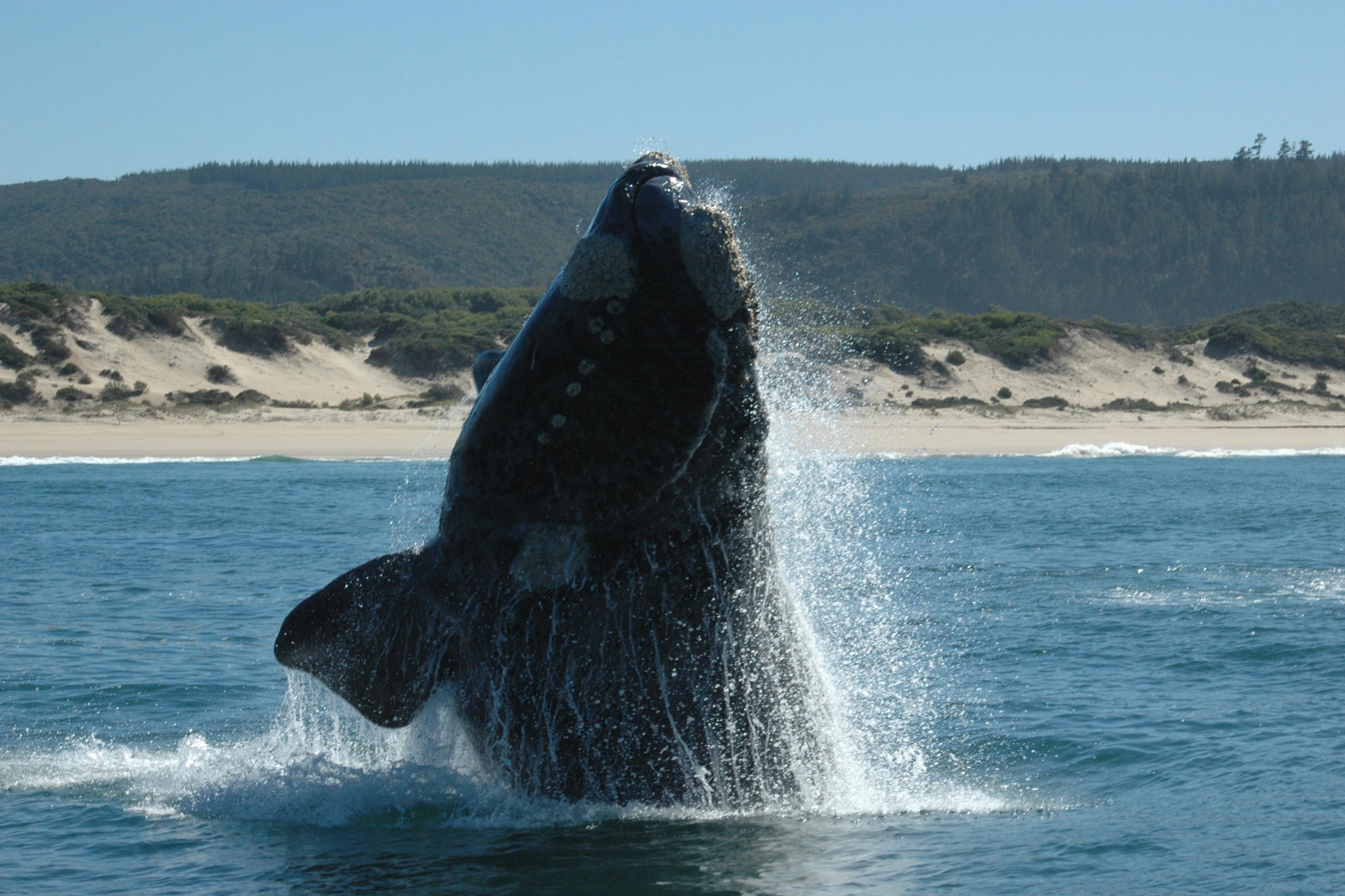 Plettenberg Bay