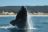 Plettenberg Bay