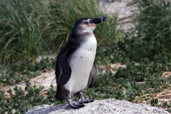 Kleine Karoo &amp; Garden Route