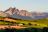 Winelands Beauty