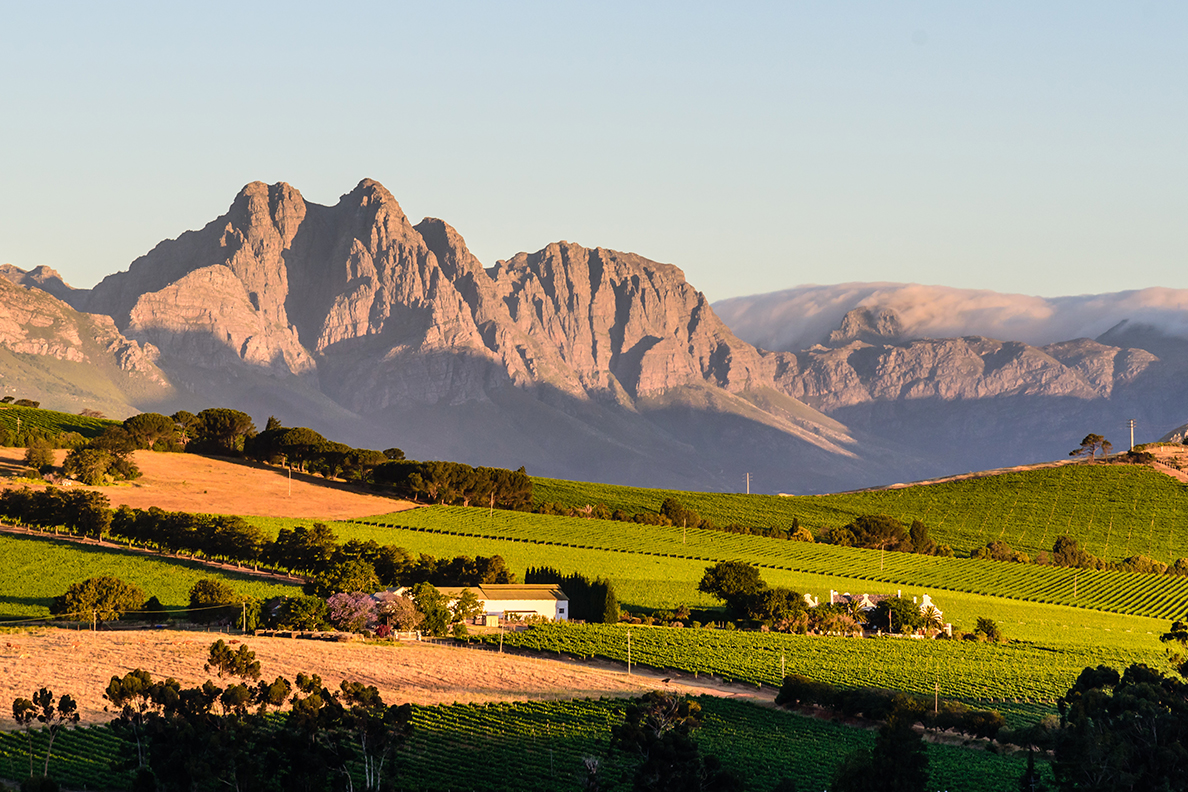 Winelands Beauty