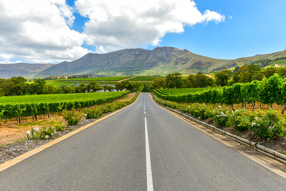 Winelands &amp; Grapes Farms in Western Cape, South Africa are among