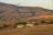 Swaziland