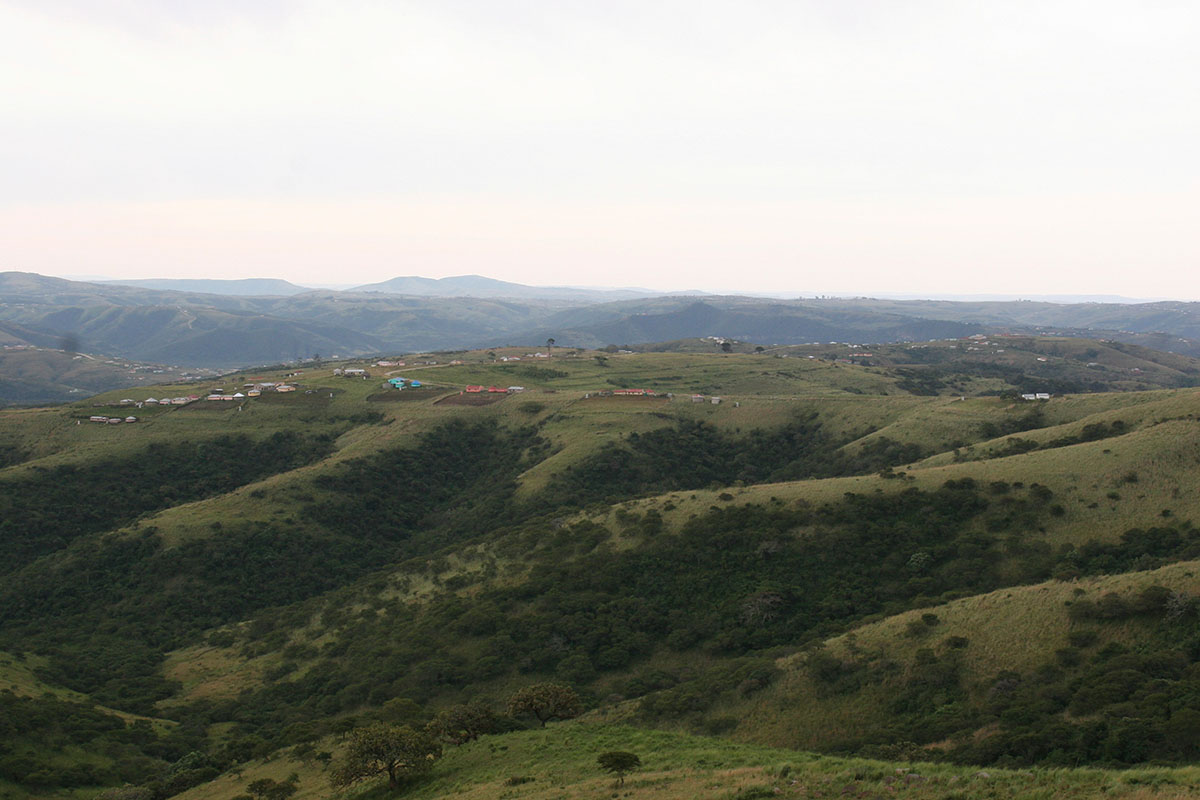 Wild Coast
