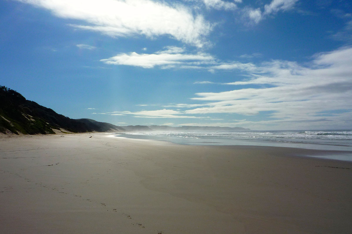 Wild Coast