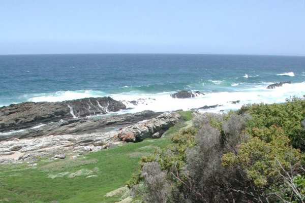 Tsitsikamma National Park