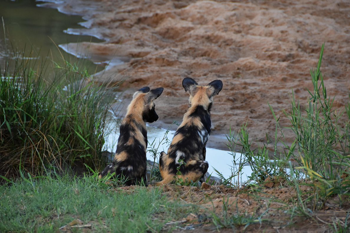 Hluhluwe National Park