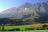 Cape Winelands